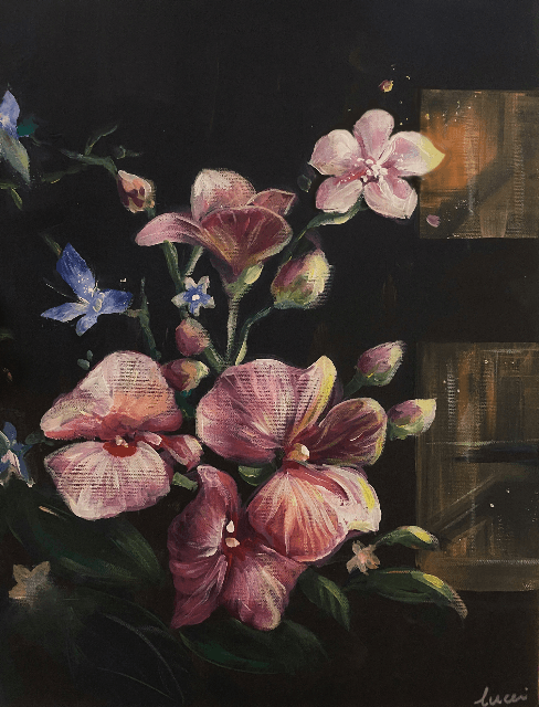 Orchids 2