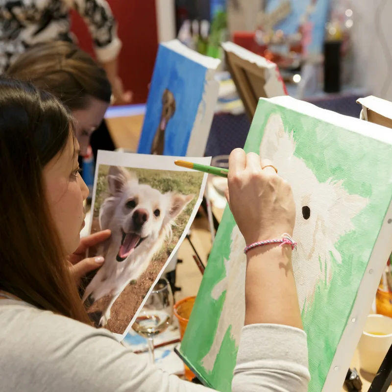 Paint Your Pet! 2