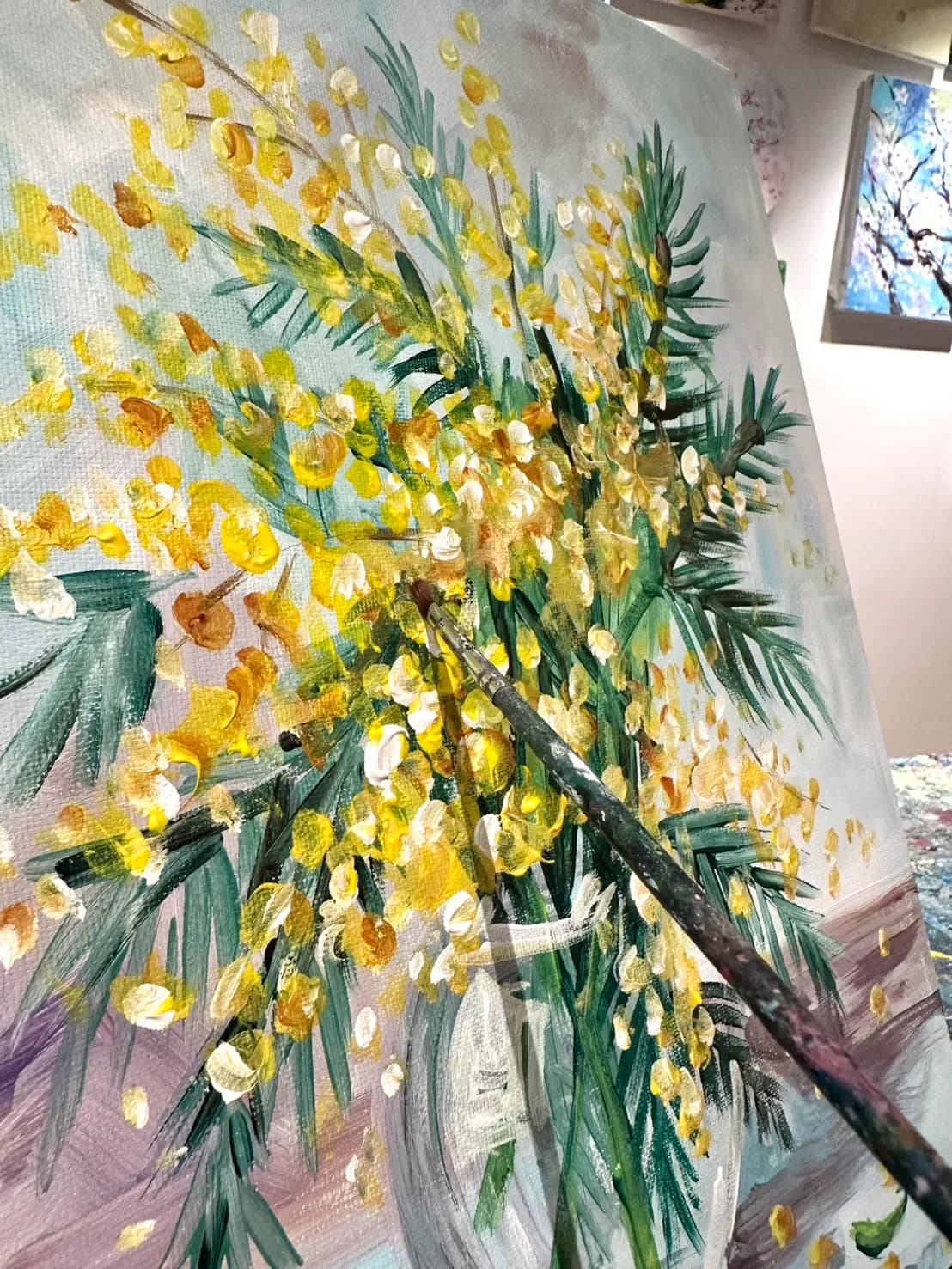 Mimosa 2