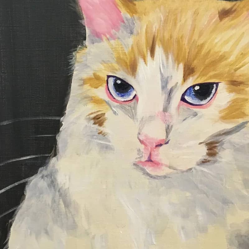 Paint Your Pet