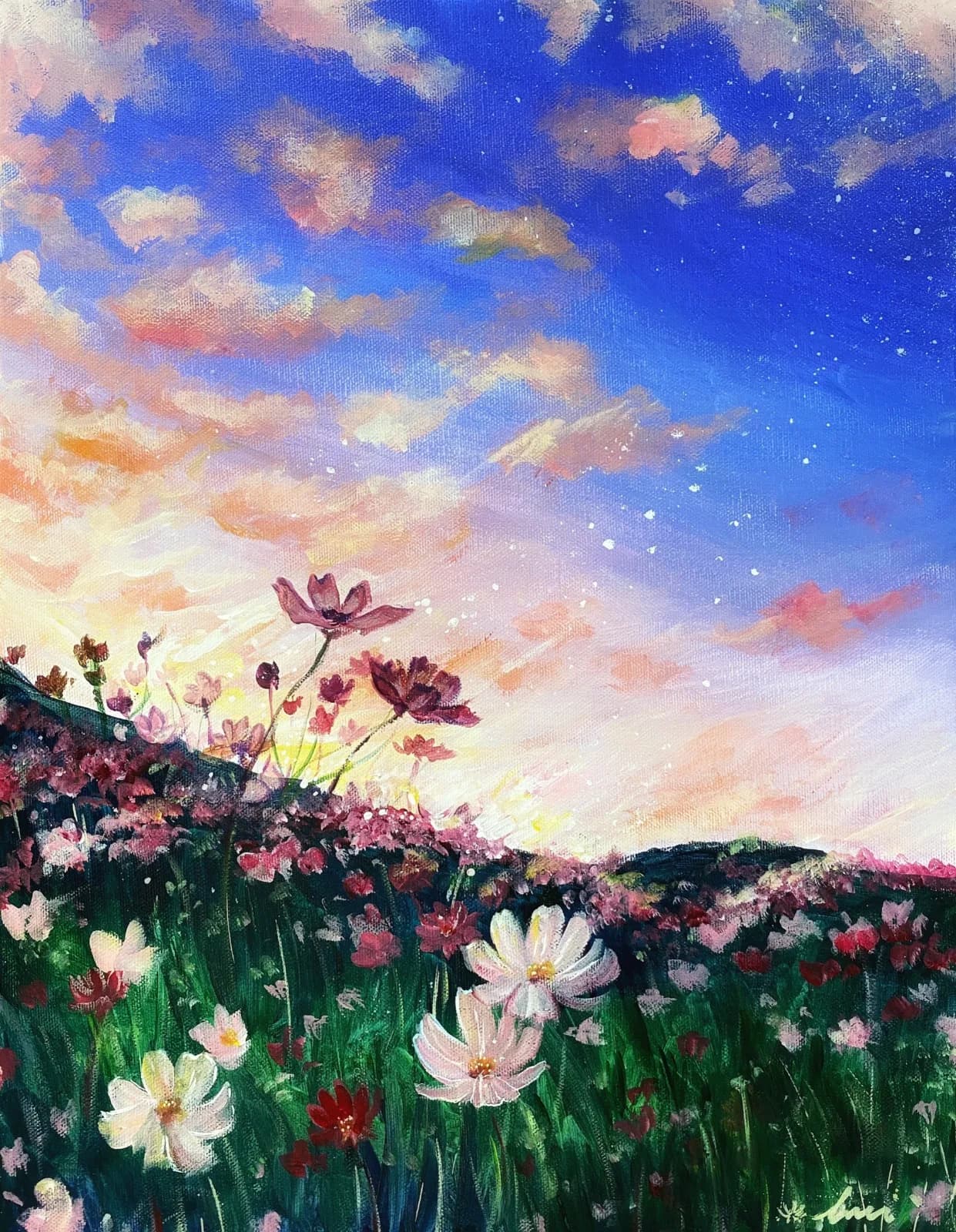 Field of Cosmos